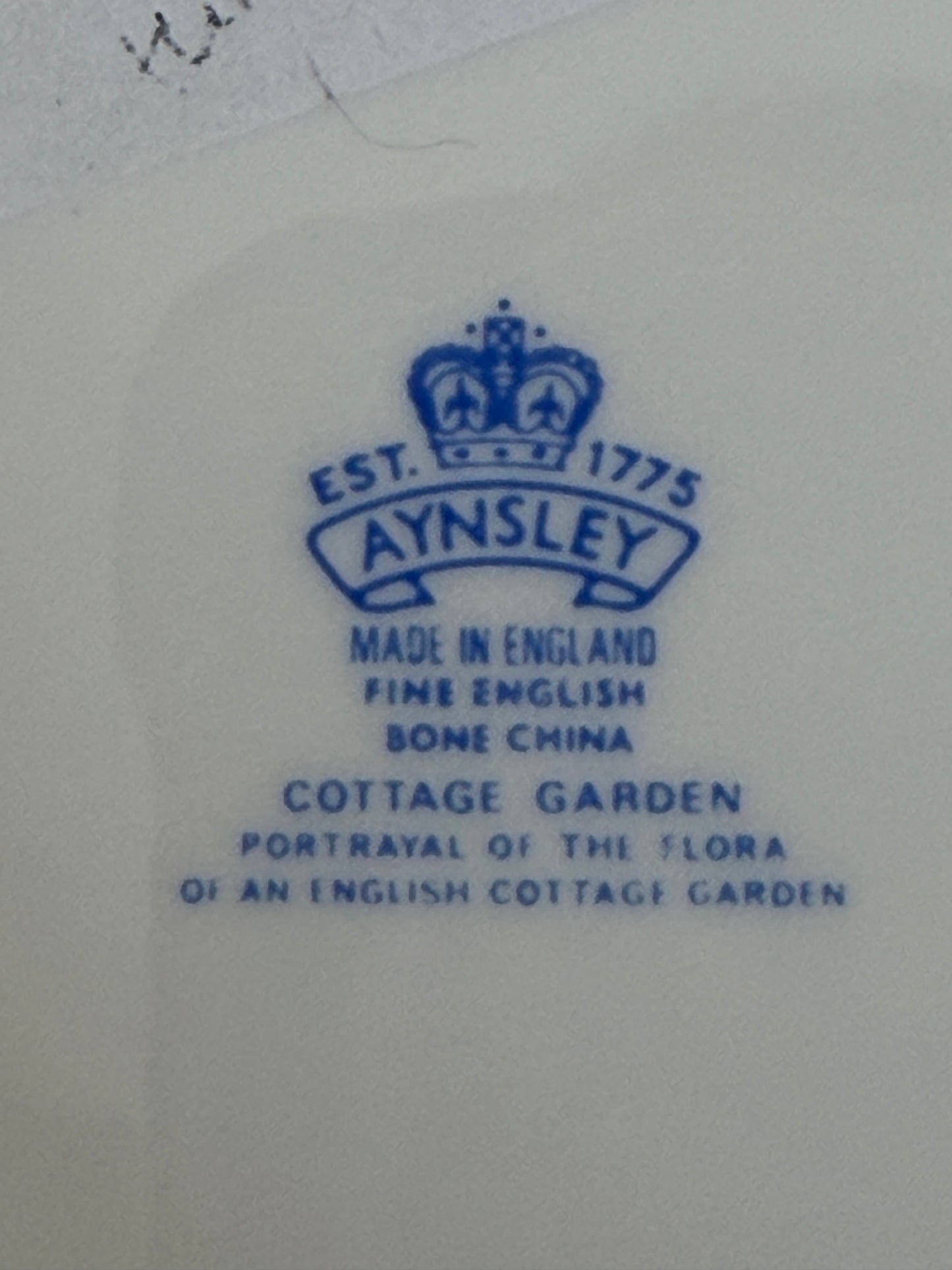 Aynsley “Cottage Garden” Plate, English Bone China