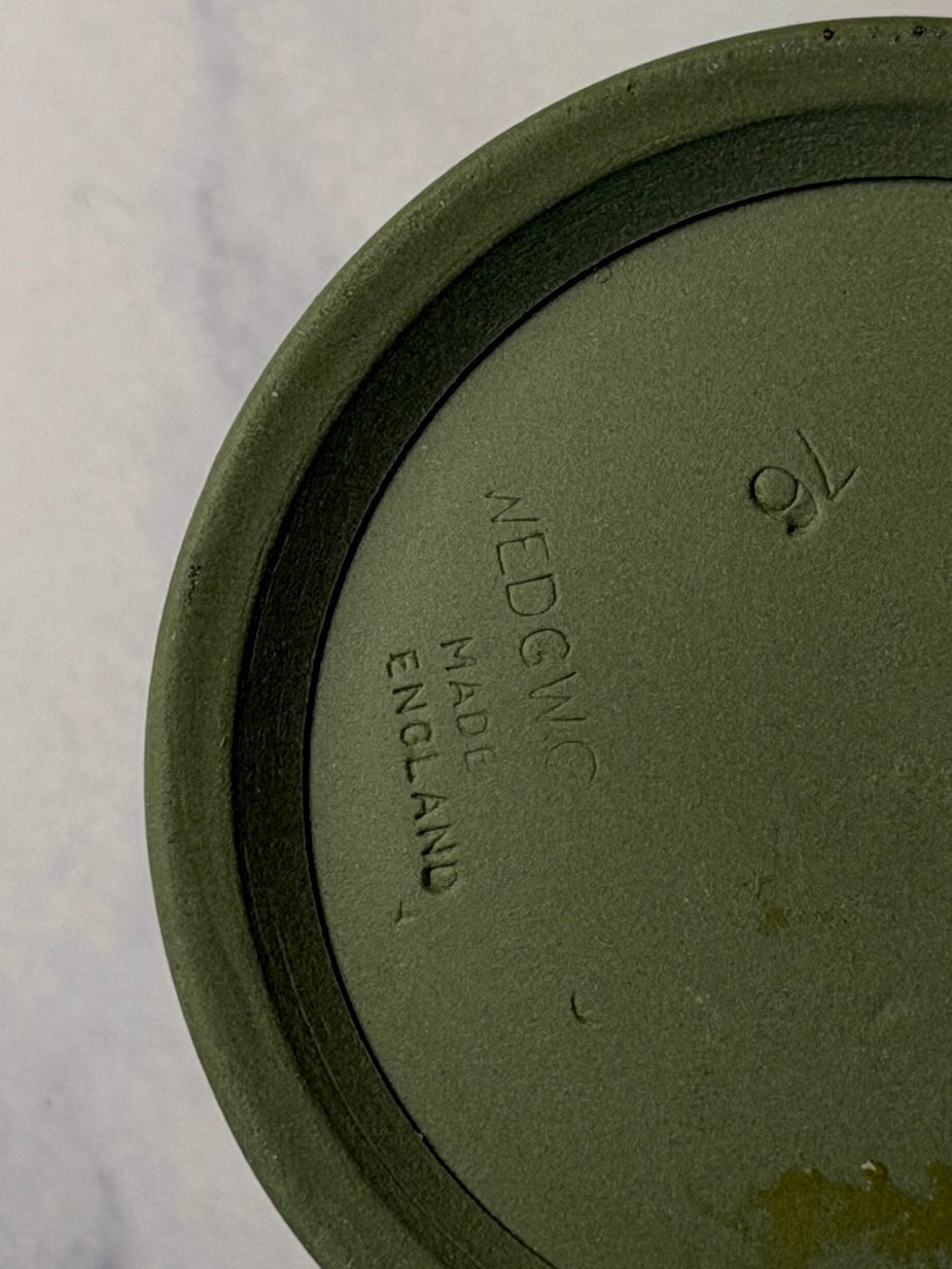 Wedgwood Sage Jasperware Pill Box