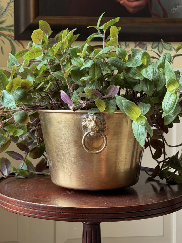 Brass Cachepot with Lion-Head Handles - 19th-C. H.W. Hayden