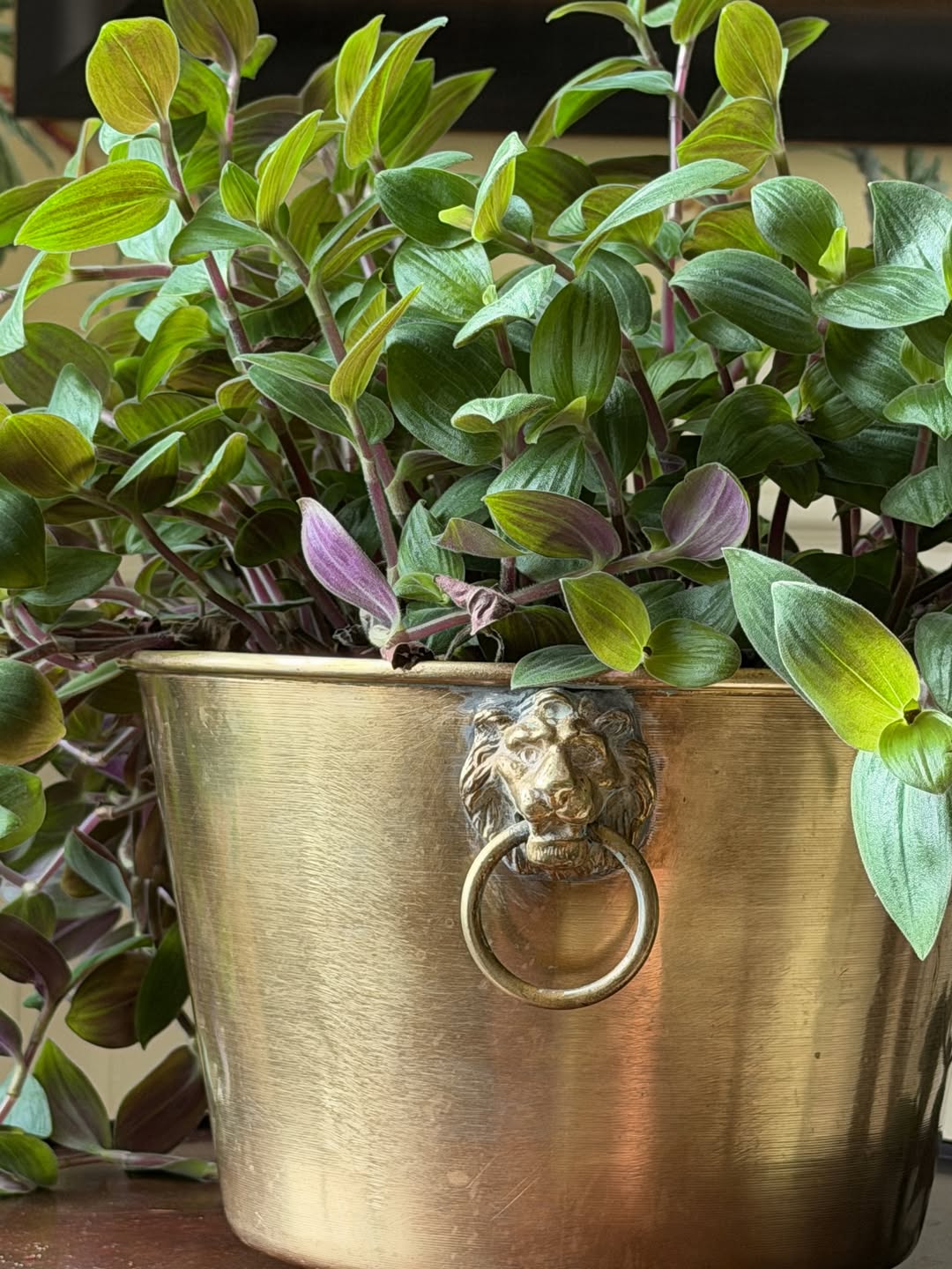 Brass Cachepot with Lion-Head Handles - 19th-C. H.W. Hayden