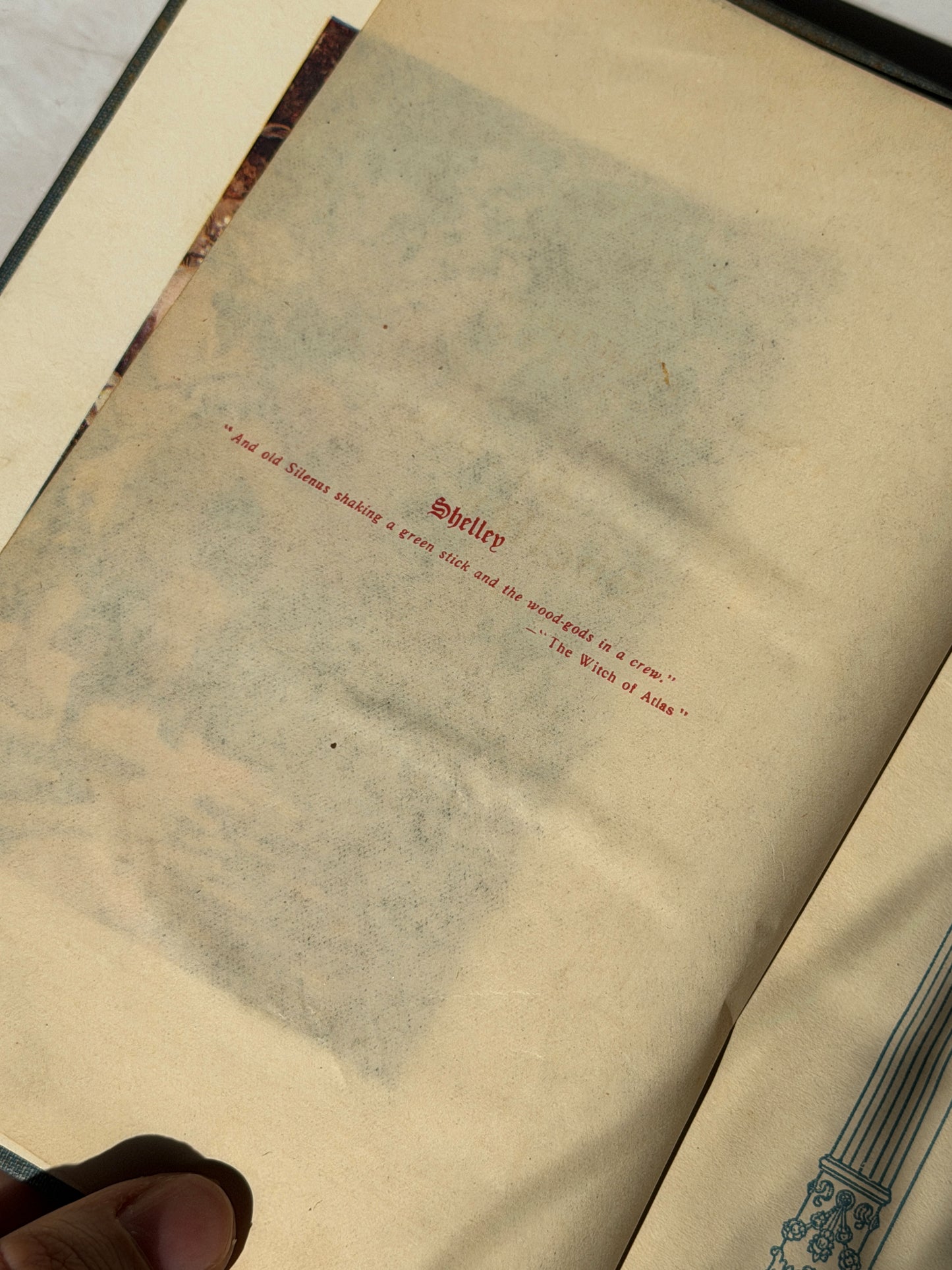 The Collected Library | Antique & Vintage Books