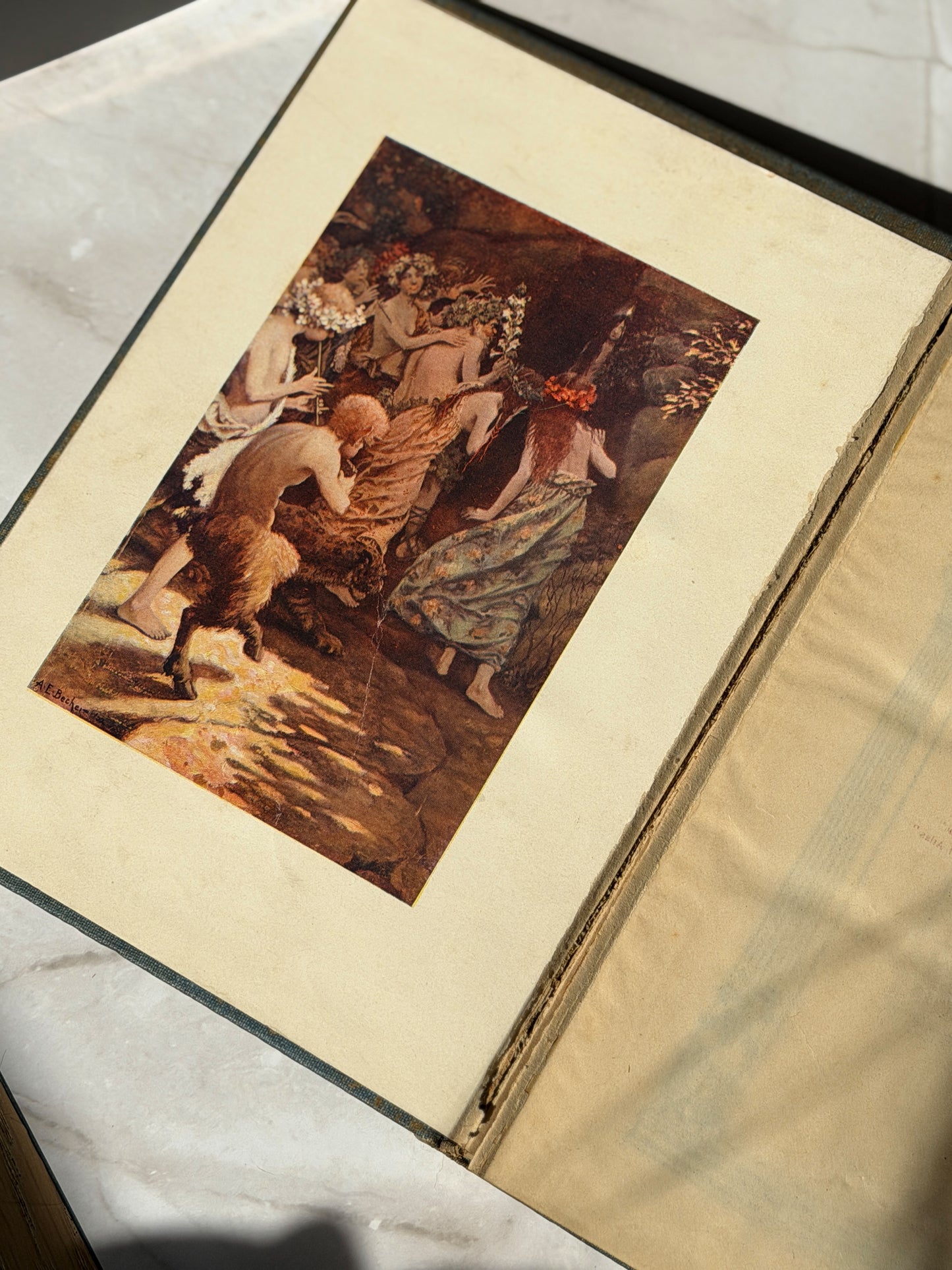 The Collected Library | Antique & Vintage Books